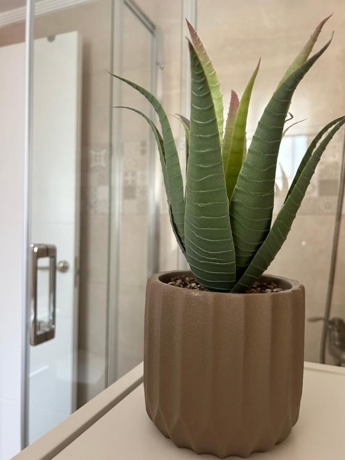 Estudio Centro Apartment *
